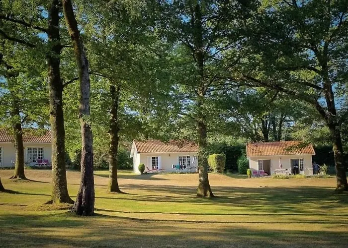 Domaine Du Grand Roc- 1-la Mesange